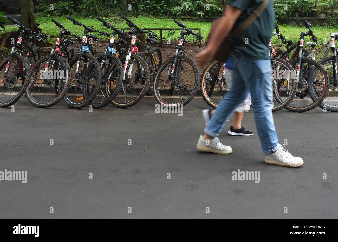 Bogor, West Java, Indonesien - Juli 2019: Menschen laufen auf einem bycycle Parkplatz in Bogor Botanical Garden. Stockfoto