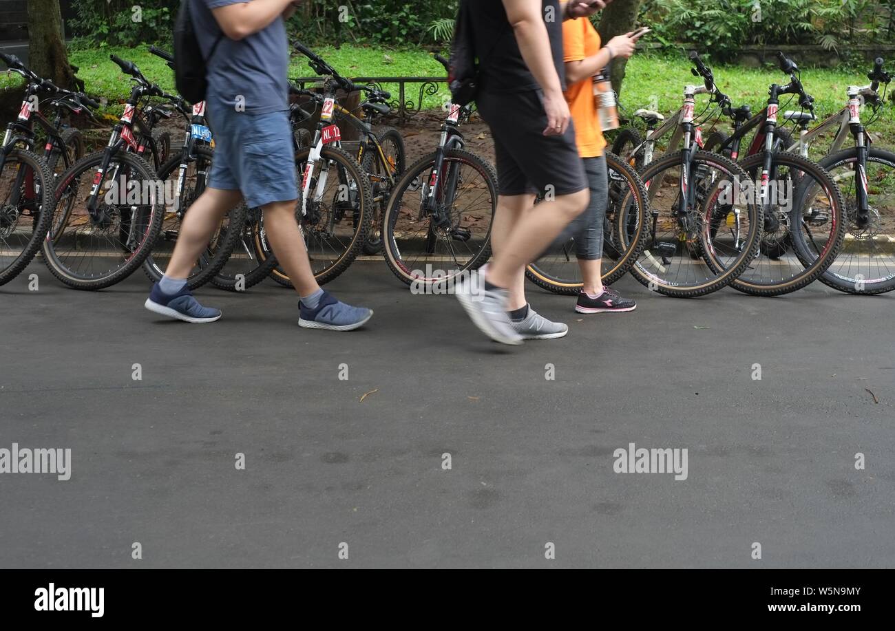 Bogor, West Java, Indonesien - Juli 2019: Menschen laufen auf einem bycycle Parkplatz in Bogor Botanical Garden. Stockfoto