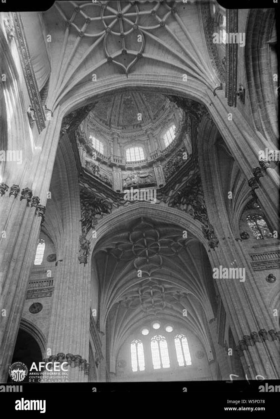 Ich Bögen del creuer Cúpula de la Catedral nova de Salamanca (AFCEC MORELLO A0210). Stockfoto