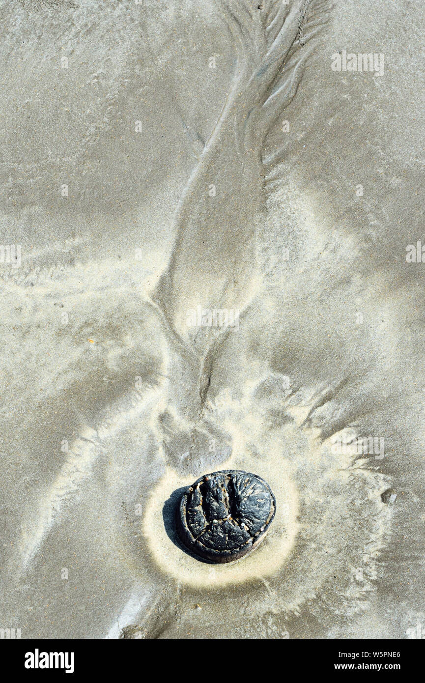 Stein in Sand Nehri Strand Valsad Gujarat Indien Asien Stockfoto
