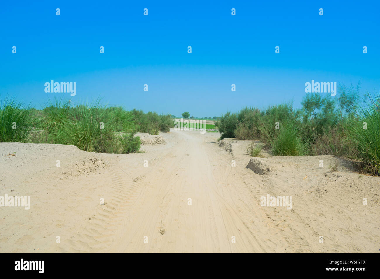 Landschaft Bild einer Wüste, in Punjab, Pakistan, blauer Himmel. Stockfoto