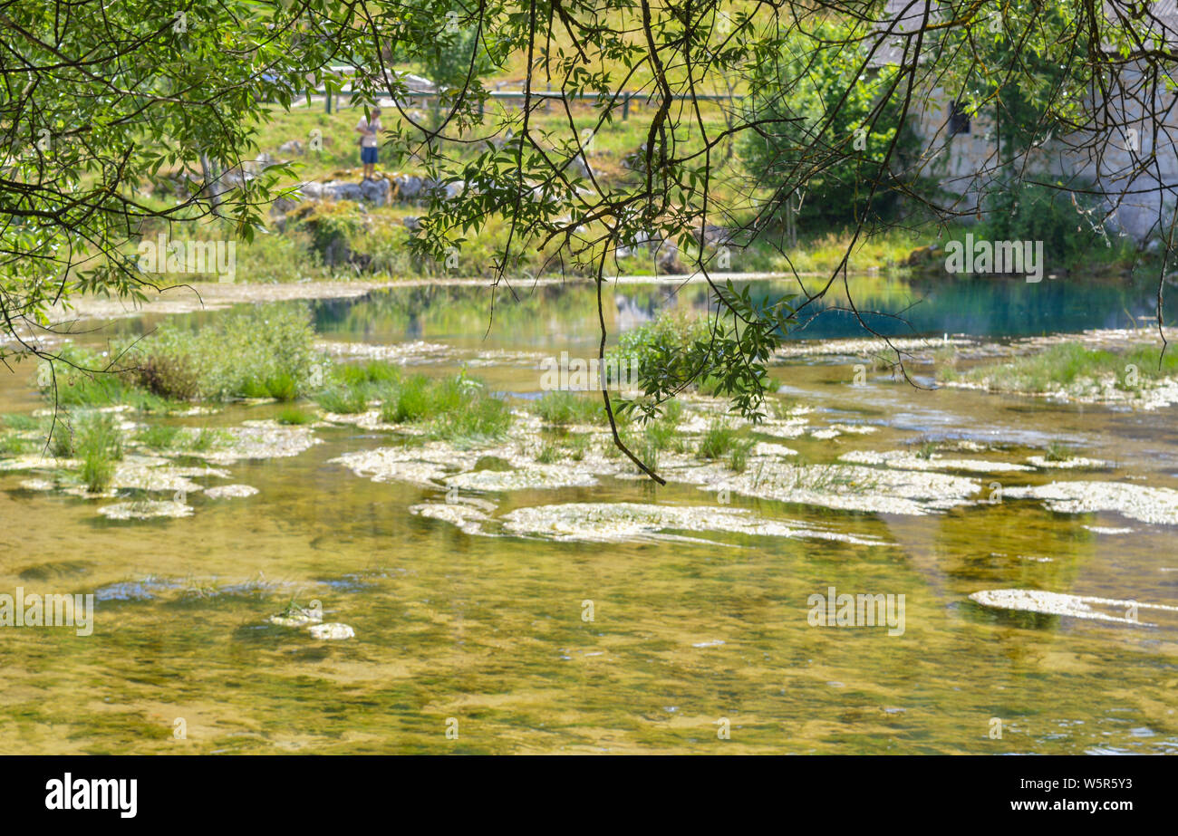 River Springs, Gacks Majerovo VRILO fotografiert durch Willow brances Stockfoto