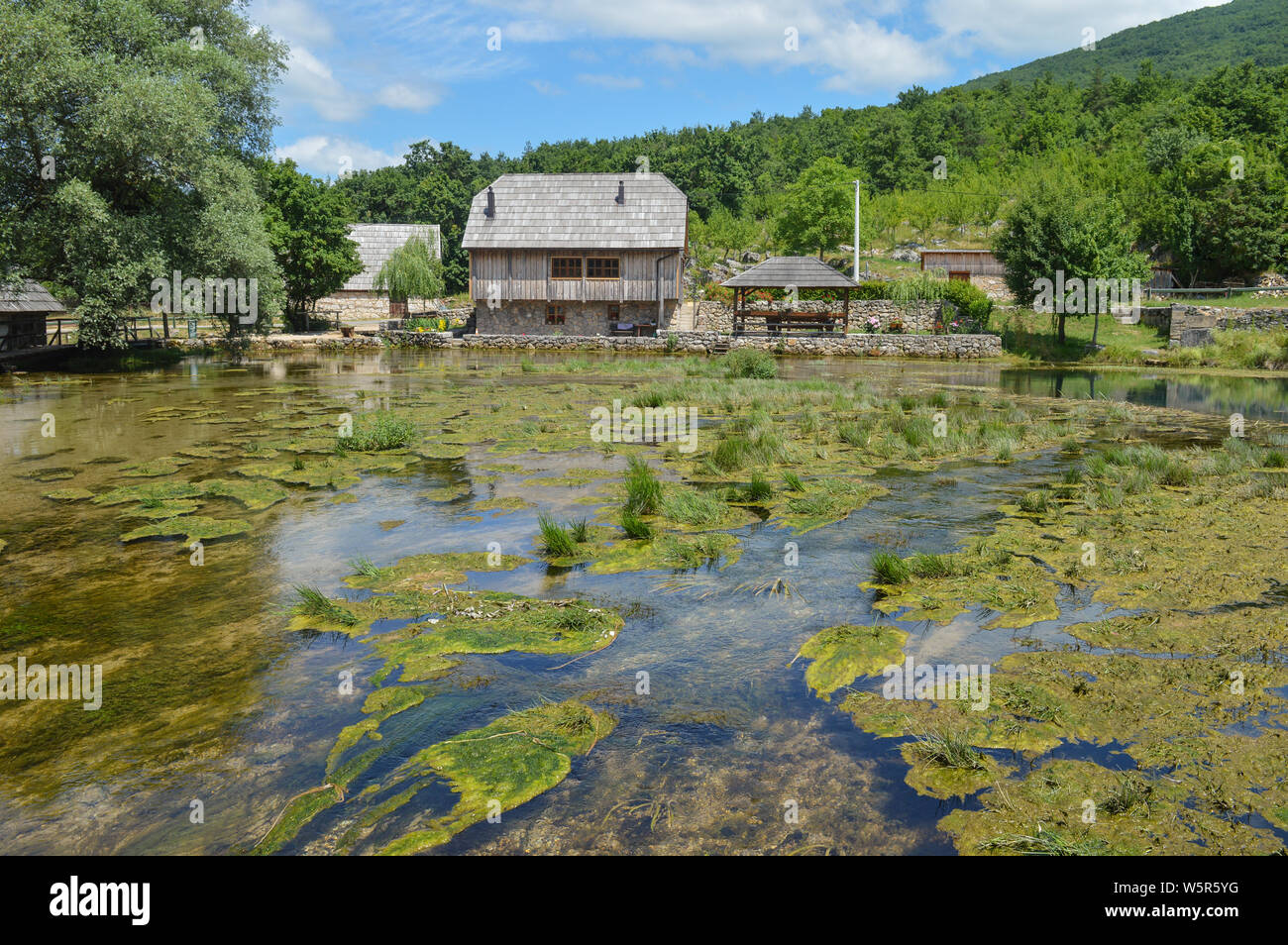 Fluss Vegetation auf dem Fluss Gacka Federn, Majerovo Vrilo Stockfoto