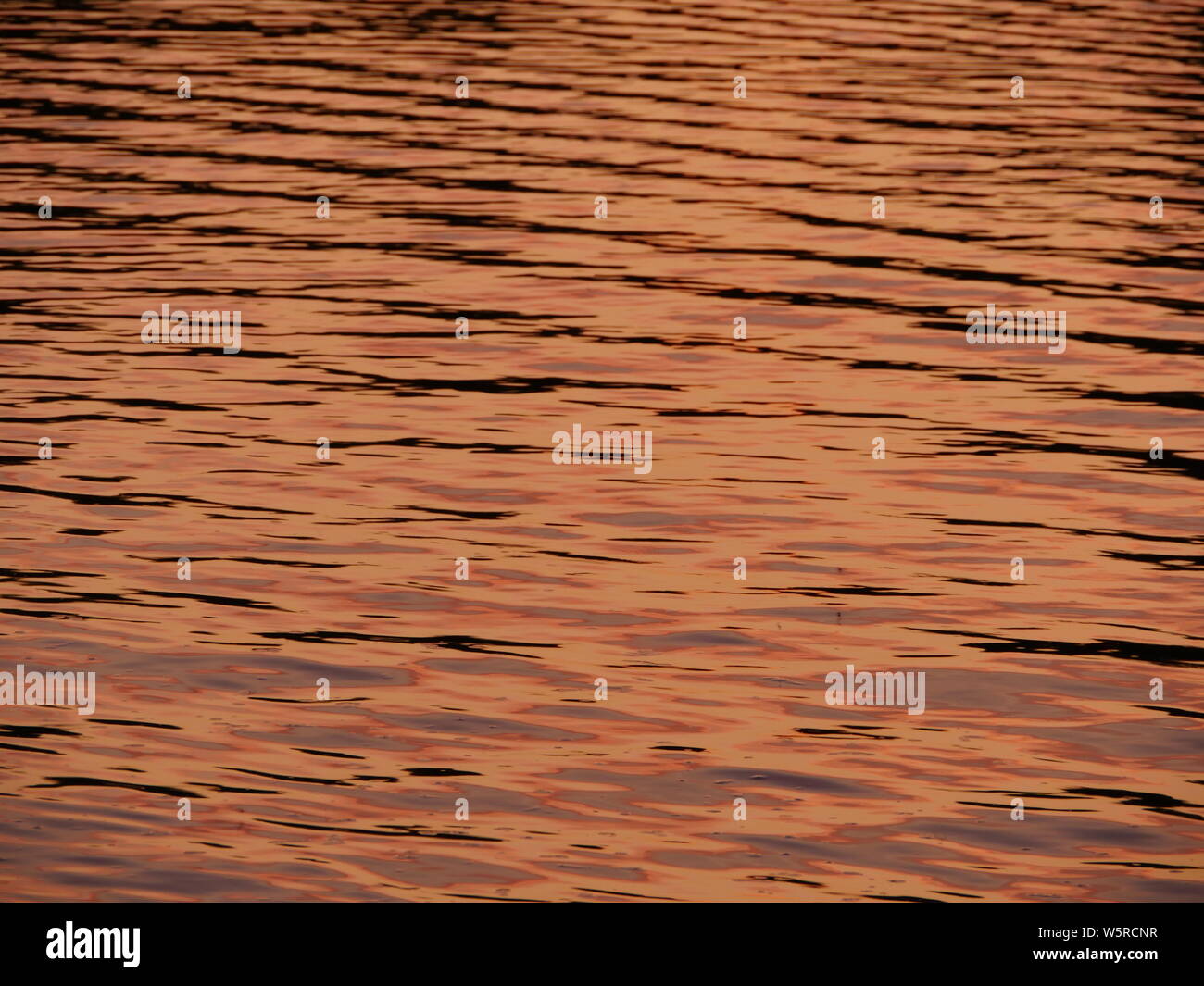 Golden Wasser die Sonne malt die Meeresoberfläche in goldener Farbe Hintergrund Stockfoto