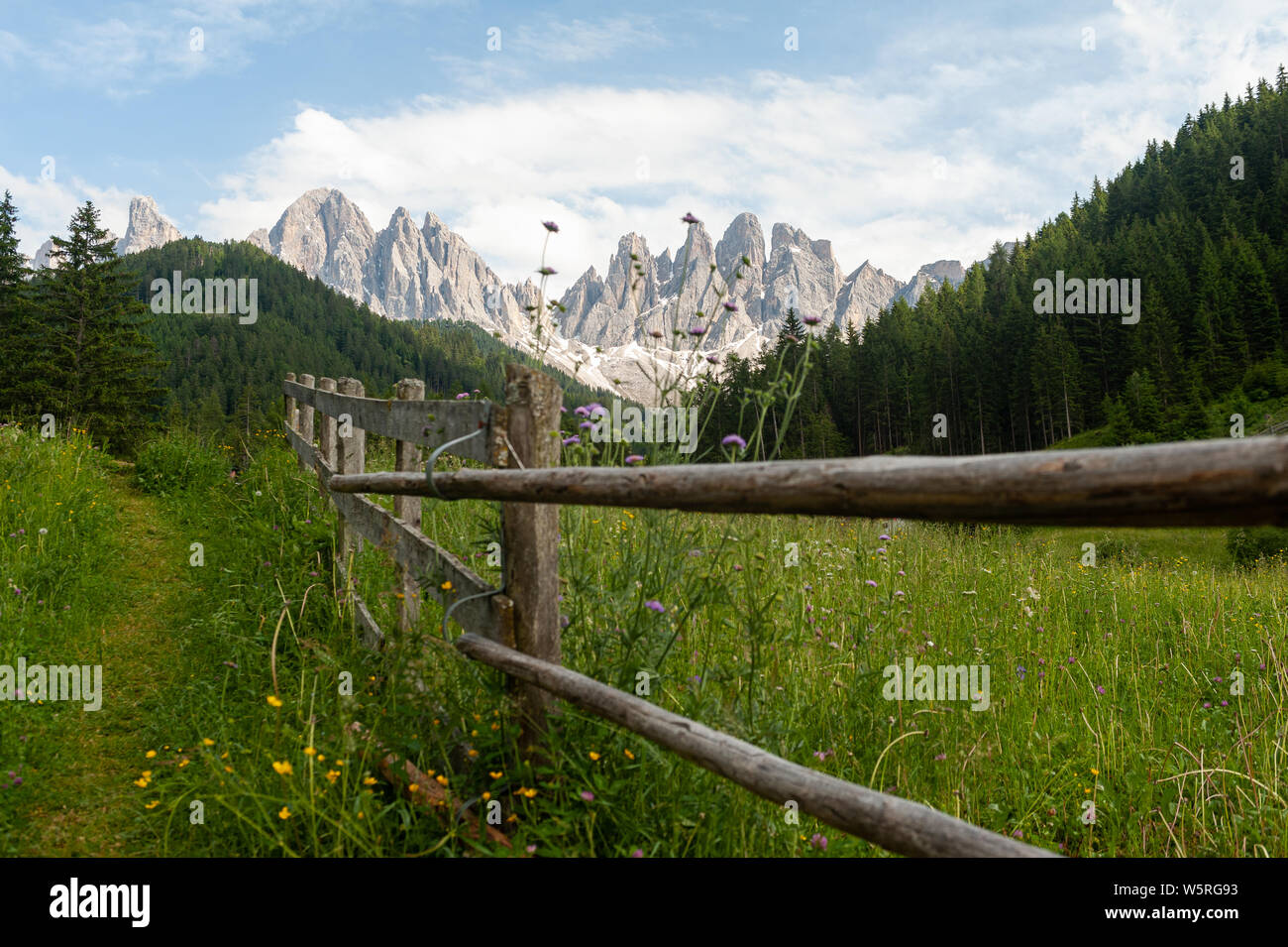 21.06.2019, St. Magdalena, Villnoess, Trentino-Südtirol, Südtirol, Italien, Europa - der Naturpark der Villnoess Tal mit Dolomiten. Stockfoto