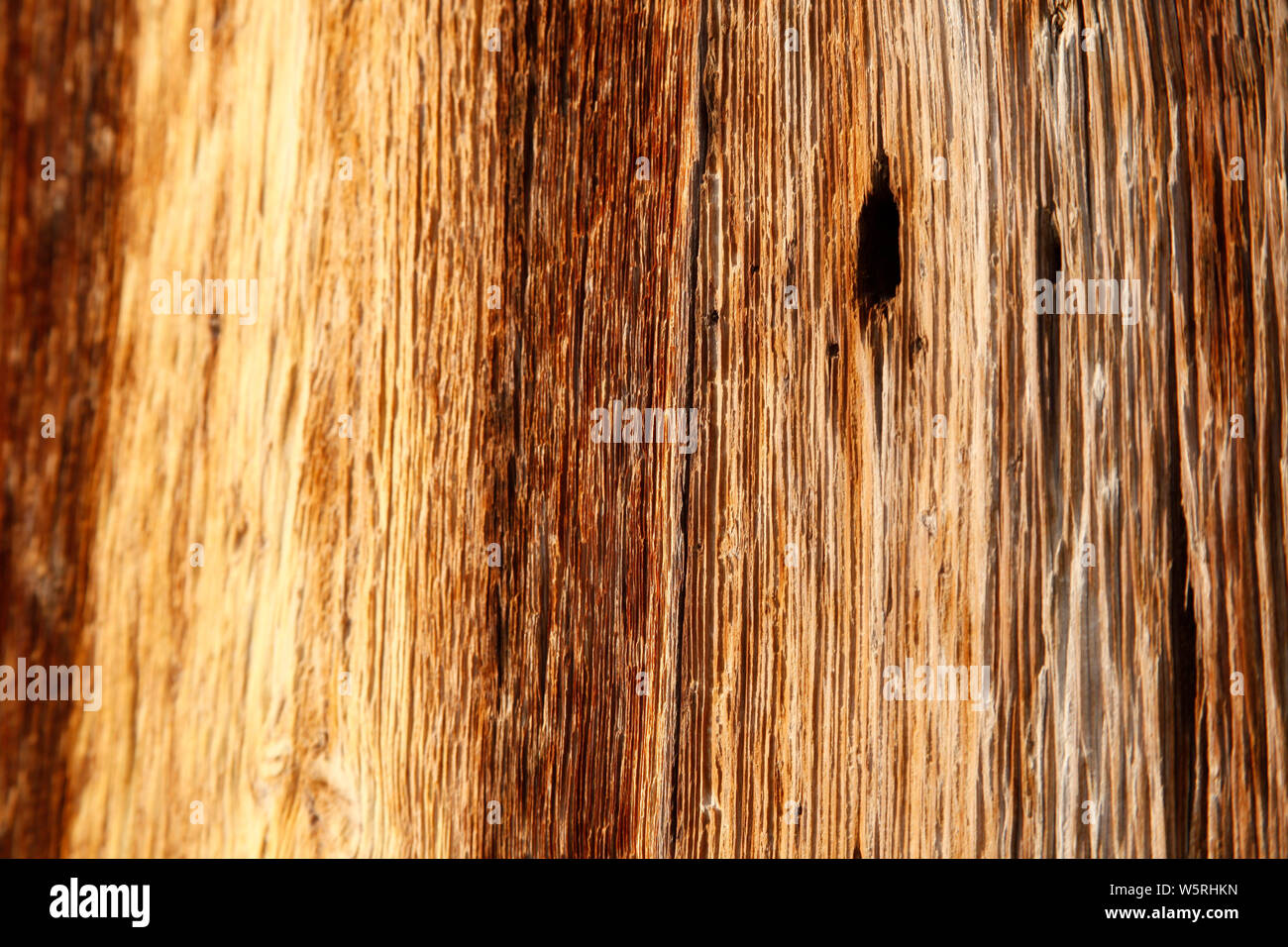 Rustikale Holz Textur Hintergrund Stockfoto