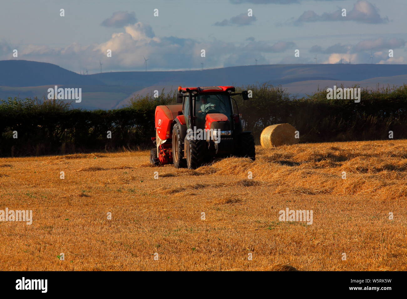 Ein modernes Stroh compactor Sammeln der Stroh- und rollt es in die riesigen Ballen bereit für den Winter füttern in Rollenform gespeichert werden. Stockfoto