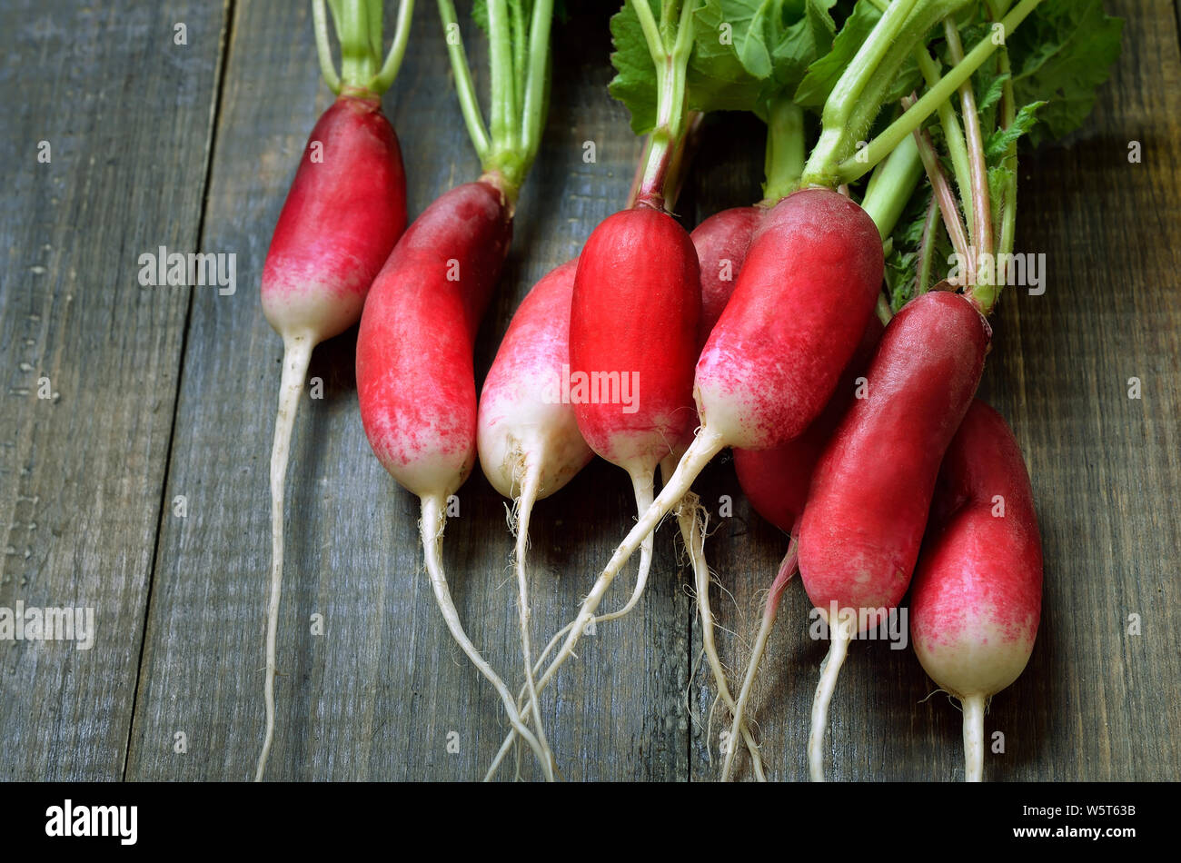 Frische Radieschen auf hölzernen Tisch. Vegetarische Kost Stockfoto