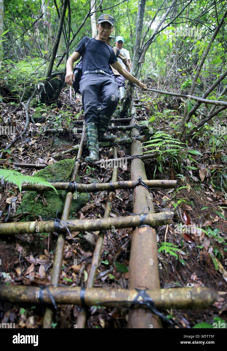 Ein Imker klettert einer steilen Klippe eines Berges Honig von holzbeuten in Rongshui Miao autonomen Grafschaft zu sammeln, Liuzhou, South China Guan Stockfoto