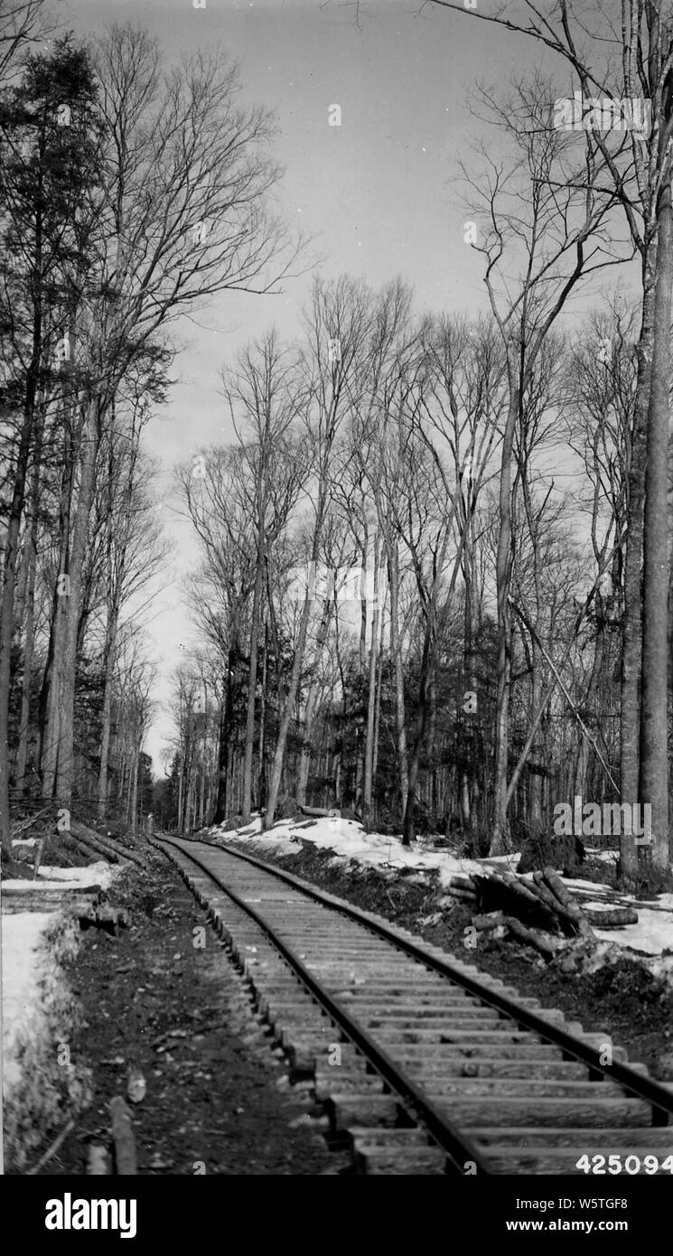 Foto von Connor's 1942-1943 selektive Archivierung; Umfang und Inhalt: Original Titel: Connor's 1942-43 selektiven Holzeinschlag 40 % % % % der Stiele, 50 % % % % Volumen s genommen. 36 T 38 N, R15 E. Stockfoto