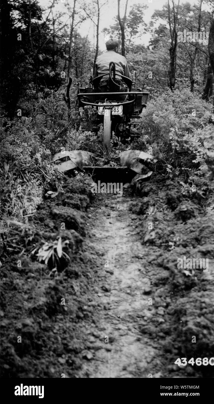 Foto der Furche durch Wescoatt Pflug in schweren Schlick Lehmboden; Umfang und Inhalt: Original Bildunterschrift: Furche von Wescoatt in schweren Schlick Lehmboden Pflug. Typ ist altes Feld mit overstory von sassafras und Kaki, Bodendecker coralberry & Segge Gras aufgegeben. Stockfoto