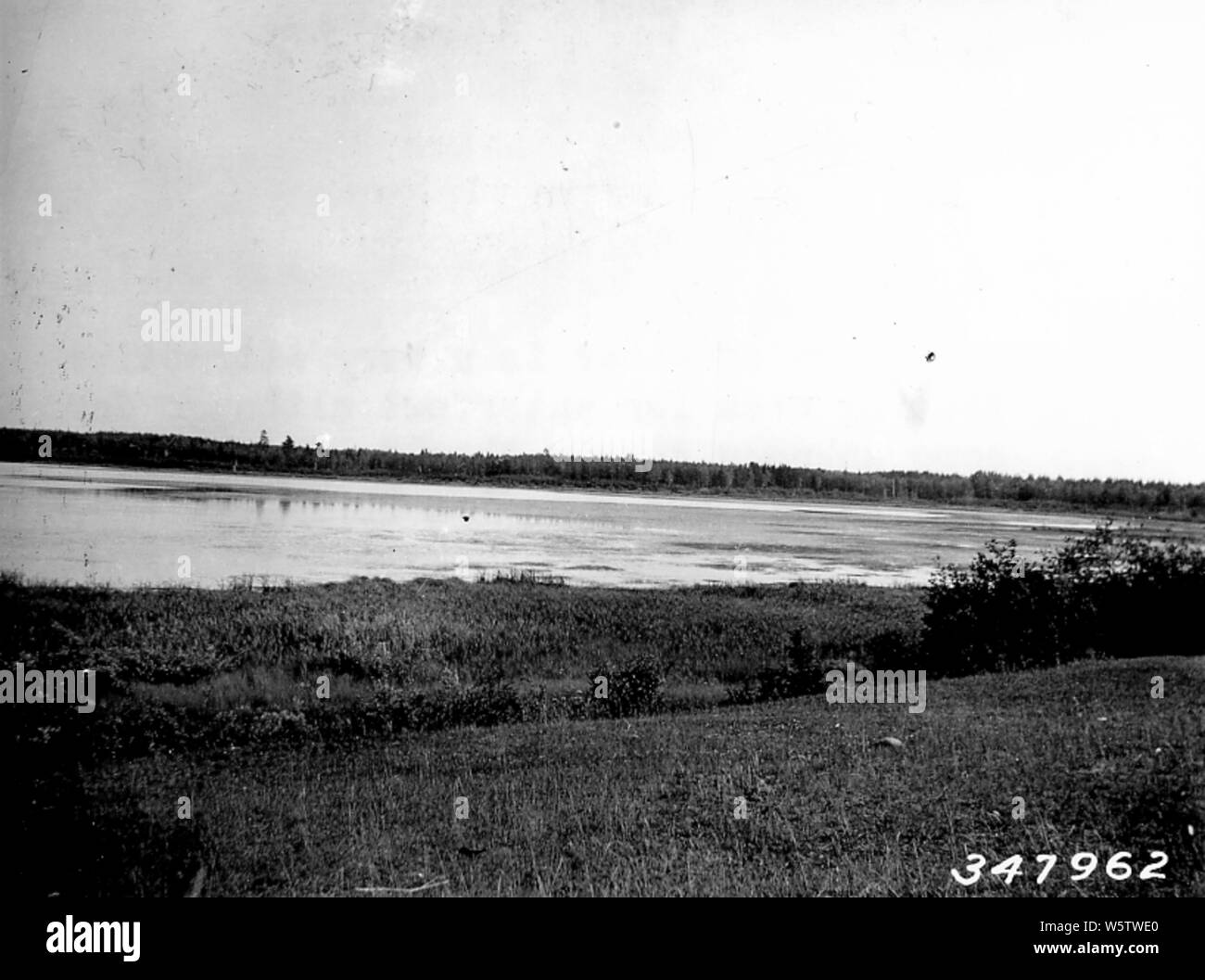 Foto von Moose Lake; Umfang und Inhalt: Original Bildunterschrift: Dieser Körper von Wasser ist ein sehr attraktives Einzugsbereich für Wasservögel Auch wenn aus irgendeinem Grund Sie nicht umfassend zur Zucht verwenden. Ernte von Reis ist in diesem Jahr außergewöhnlich gut und wird zweifellos durch die Inder geerntet werden. Indien. Stockfoto