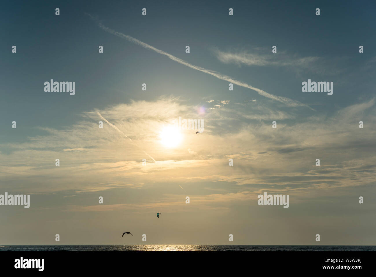 Möwen fliegen im Abendlicht über der Küste der Ostsee, Polen 2019. Stockfoto