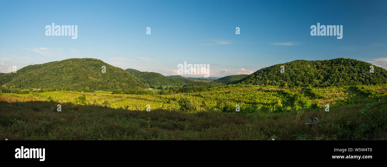 Panoramablick über Landschaft und Wald Stockfoto