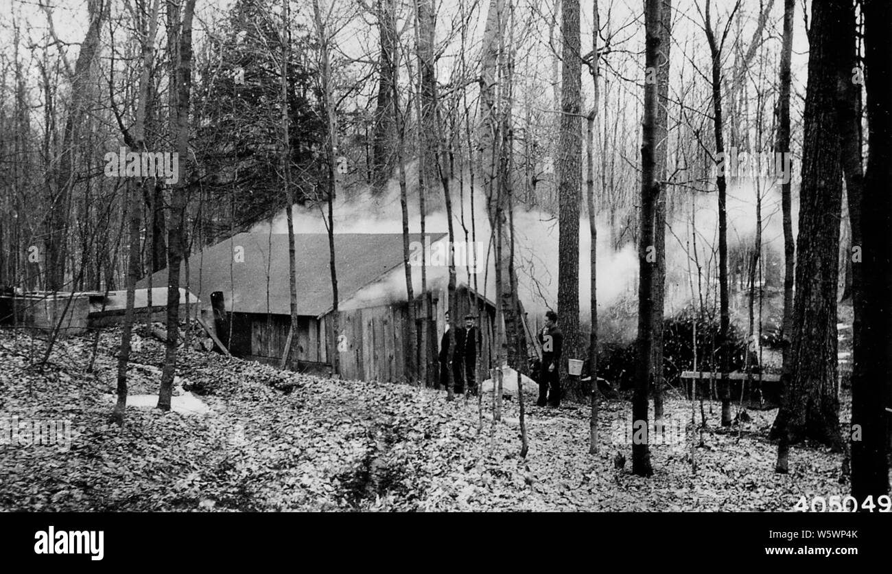 Foto der Zucker Haus in der Nähe von Bear Lake, Michigan; Umfang und Inhalt: Original Bildunterschrift: aus Zuckern sugar Haus in der Nähe von Bear Lake, Michigan. Stockfoto