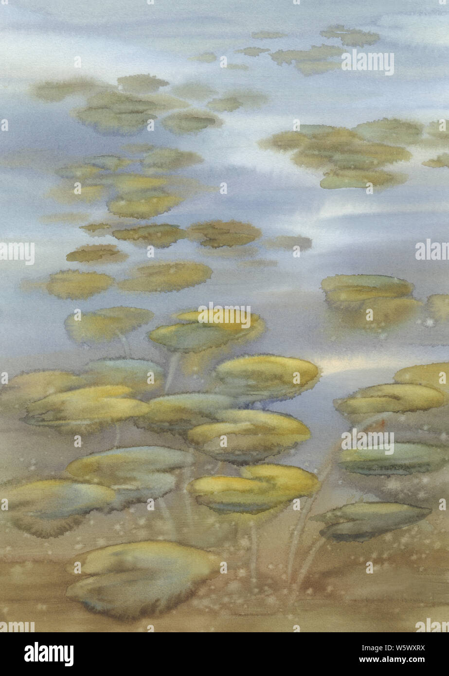 Seerosen Blätter auf dem See Aquarell Hintergrund. Abbildung: Sommer Stockfoto