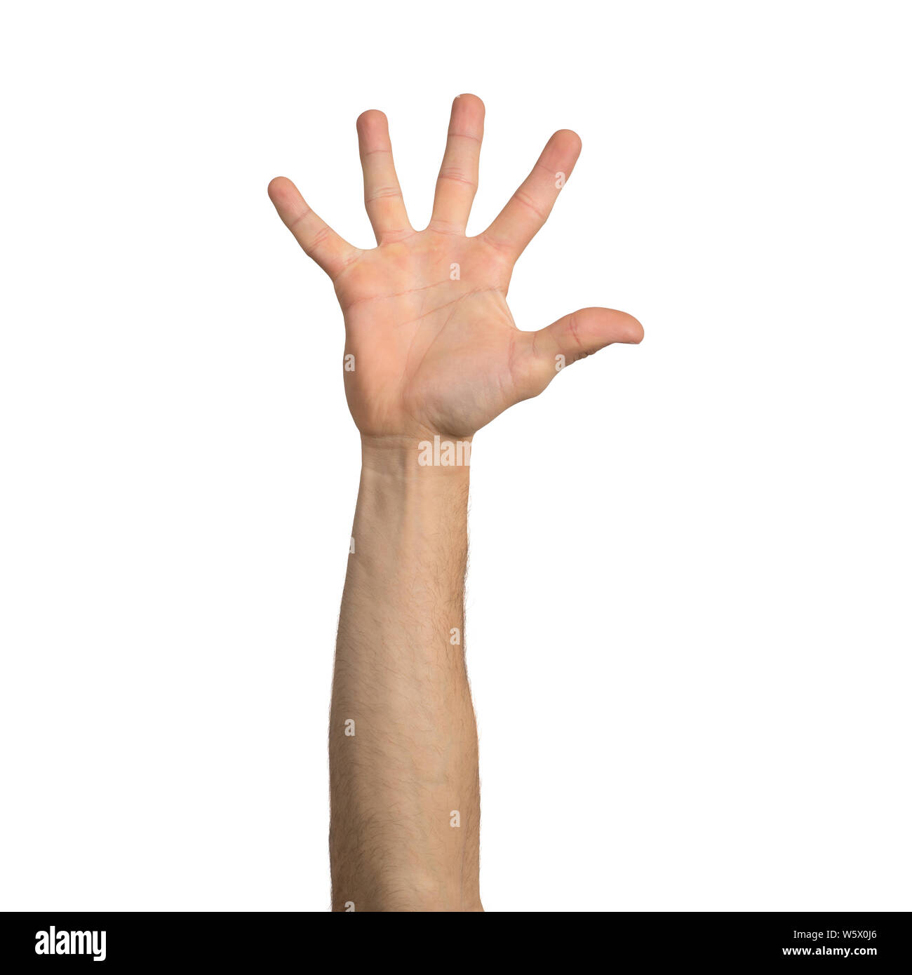Erwachsene mann Hand mit gespreizten Fingern Geste. Teilnahme und Stimmabgabe unterzeichnen. Menschliche Hand gestikulierend Zeichen auf weißem Hintergrund. Männliche erhobenen Arm Stockfoto