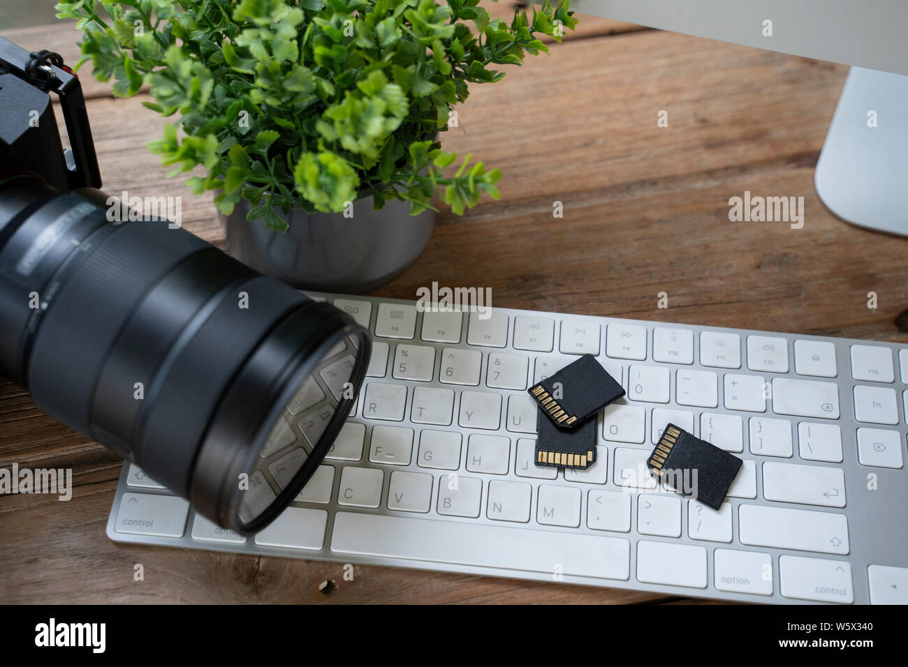 Memory Cards für DSLR-Kamera. Fotos Speicher. Fotografie Business. Stockfoto