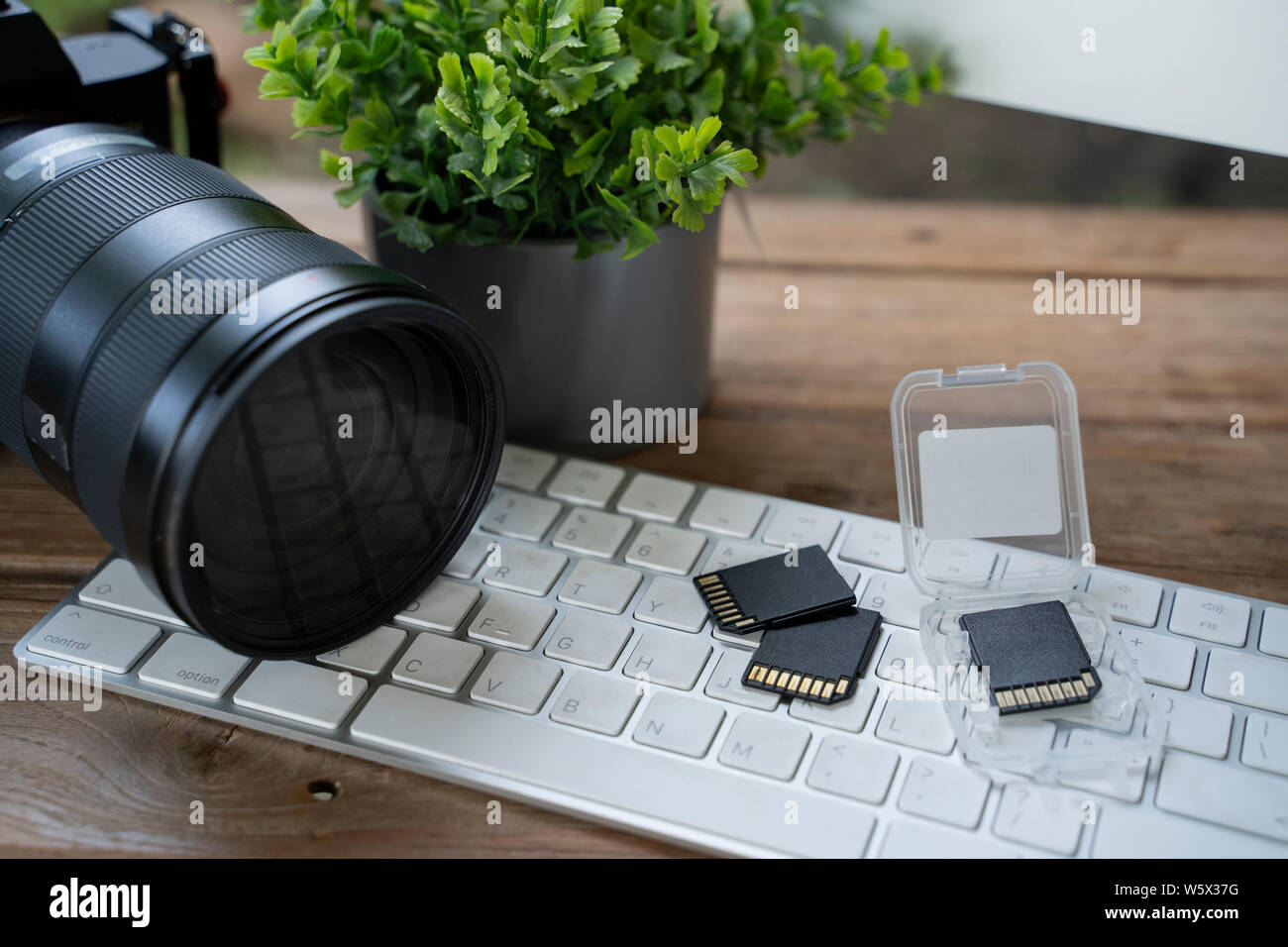 Memory Cards für DSLR-Kamera. Fotos Speicher. Fotografie Business. Stockfoto