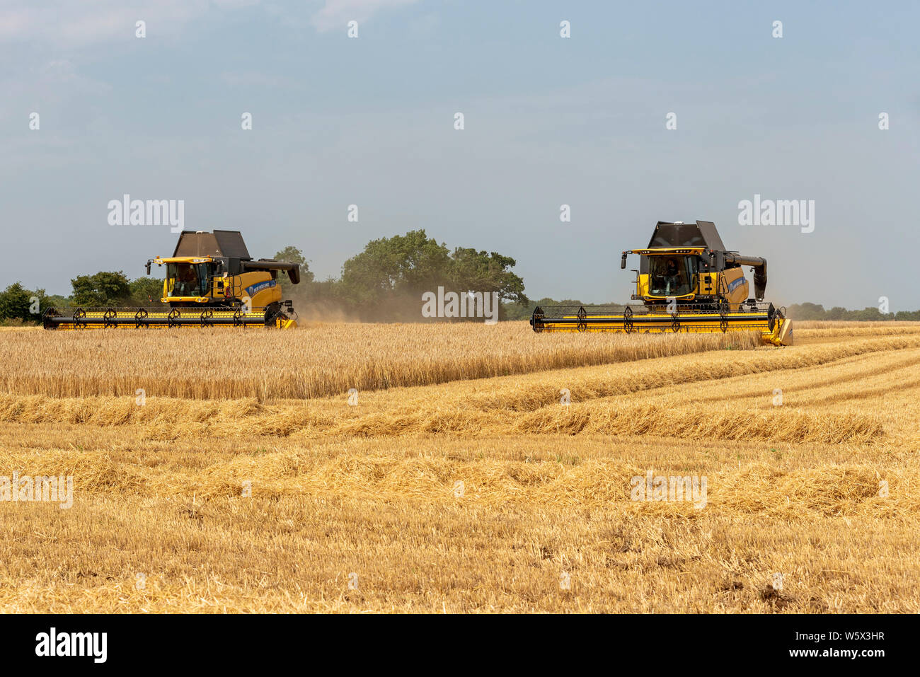 Cheltenham, Gloucestershire, England, UK. Zwei Mähdrescher arbeiten Ernte ein Feld von Gerste, die beim Trocknen eine Brauerei gesendet werden Stockfoto