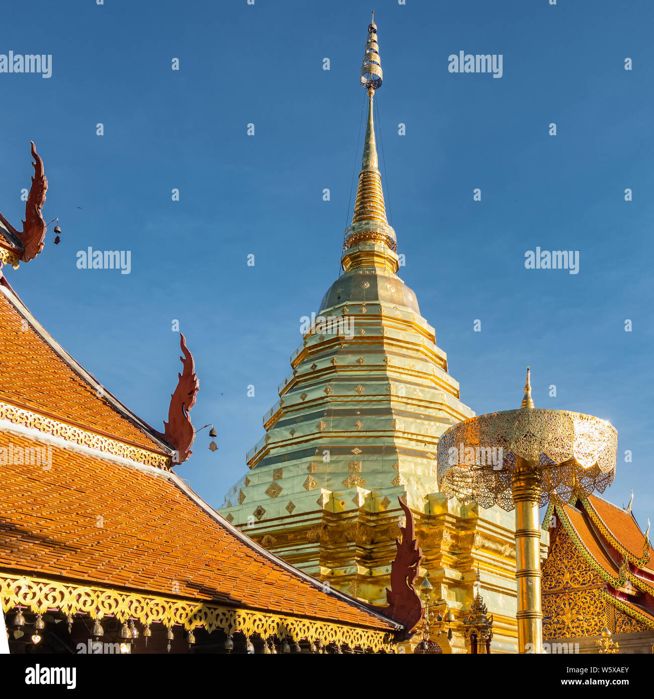 Goldene Chedi (Stupa) und Regenschirm im Tempel Wat Phra, die Doi Suthep, Chiang Mai, Thailand Stockfoto