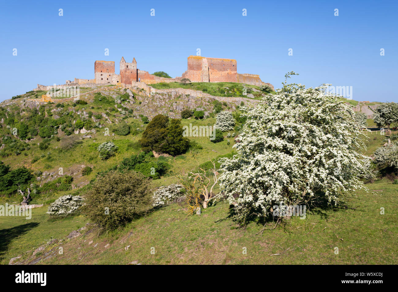 Ruinen der mittelalterlichen Festung Hammershus in der Nähe von Allinge an der Nordwestküste der Insel Bornholm Stockfoto