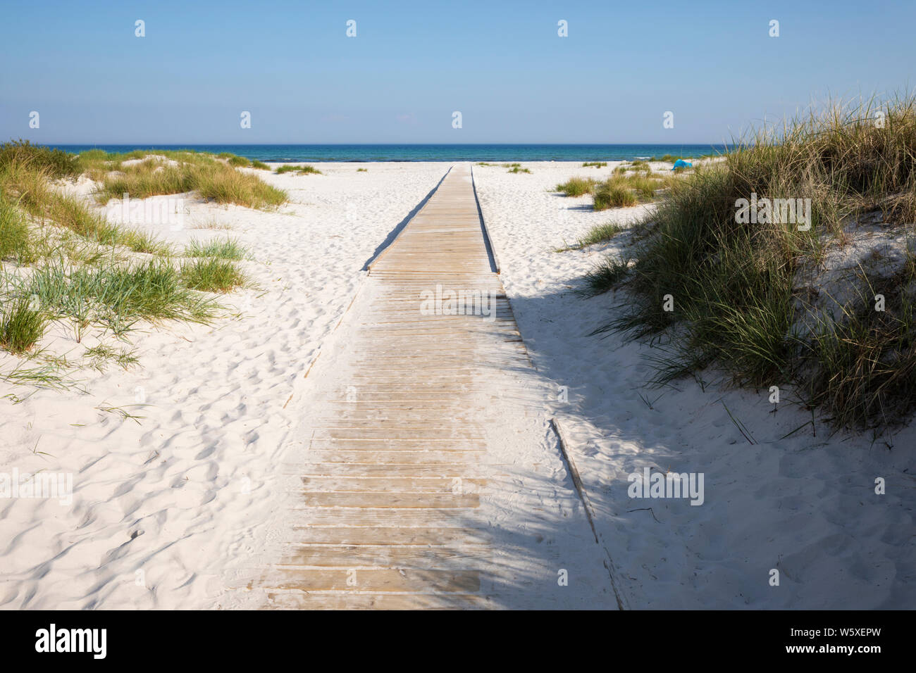 Weißer Sand Strand von Dueodde auf South Island's Westküste, Dueodde, Bornholm, Insel, Ostsee, Dänemark, Europa Stockfoto
