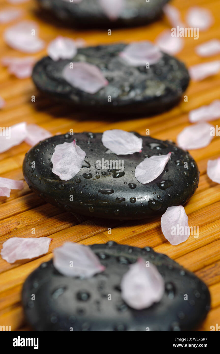 Japanische Zen Garten mit Steine in eine Reihe Stockfoto