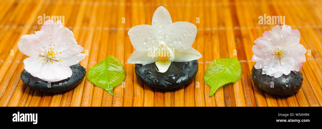 Japanische Zen Garten mit Steine in eine Reihe Stockfoto