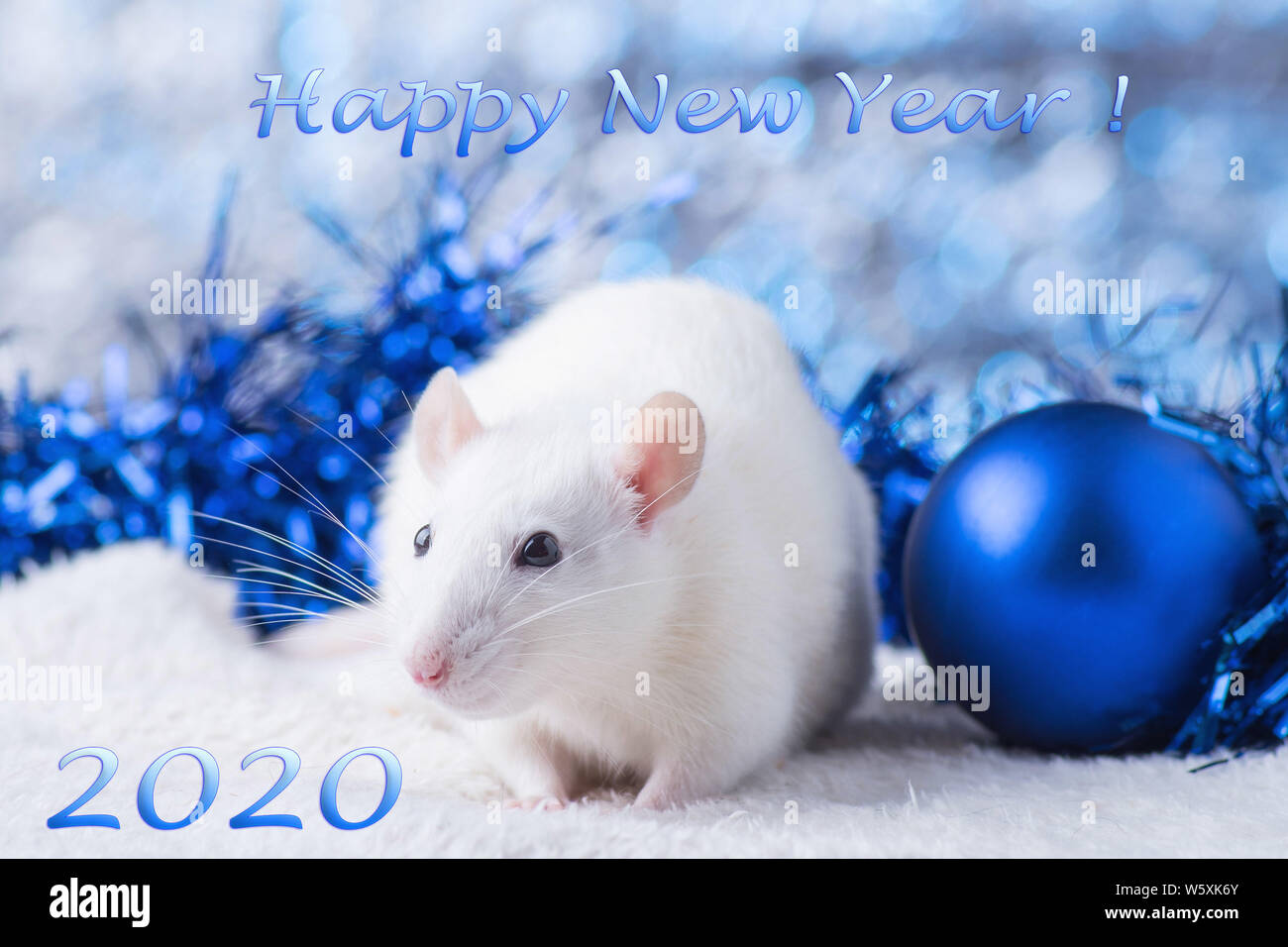 Frohes Neues Jahr! Symbol für das Neue Jahr 2020 - weiß oder Metall (Silber) Ratte. Süße Ratte mit Weihnachten dekoriert Stockfoto