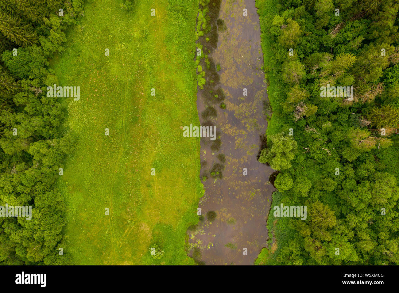 Fluss schneiden durch den Wald. Antenne drone Ansicht Stockfoto