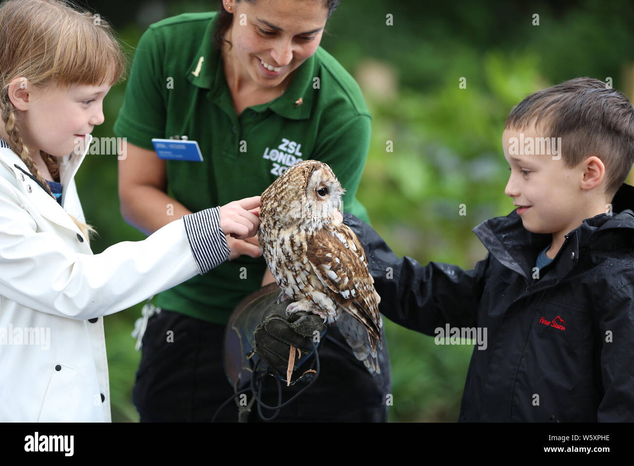 Ande das Lama offiziell eröffnet neue ZSL London Zoo Animal Adventure heute Morgen vom 30. Juli 2019 von seinem Weg durch eine zeremonielle Ribbon munching, nach der Eröffnung der Zoo berühmtheiteltern Michelle Heaton, Charlie Simpson und Katie Piper an der 32.000 qm neue Streichelzoo und Spielplatz auf einer Reise von Wildtieren Entdeckung, die ein Leben lang halten begrüßt. Moderator JB Gill und seiner Familie gefeiert, dass sich ihre Tochter Chiara Geburtstag an den Start. wo die Kleine in einem entzückenden Miniaturausgabe zookeeper Outfit gekleidet met Zwergziegen Dornbusch und Tölpel. . London Zoo. London, Großbritannien Stockfoto