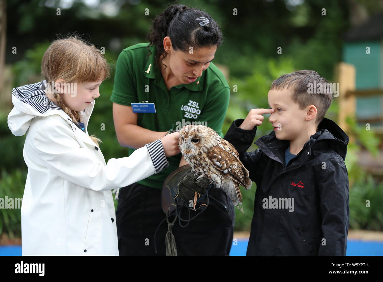 Ande das Lama offiziell eröffnet neue ZSL London Zoo Animal Adventure heute Morgen vom 30. Juli 2019 von seinem Weg durch eine zeremonielle Ribbon munching, nach der Eröffnung der Zoo berühmtheiteltern Michelle Heaton, Charlie Simpson und Katie Piper an der 32.000 qm neue Streichelzoo und Spielplatz auf einer Reise von Wildtieren Entdeckung, die ein Leben lang halten begrüßt. Moderator JB Gill und seiner Familie gefeiert, dass sich ihre Tochter Chiara Geburtstag an den Start. wo die Kleine in einem entzückenden Miniaturausgabe zookeeper Outfit gekleidet met Zwergziegen Dornbusch und Tölpel. . London Zoo. London, Großbritannien Stockfoto