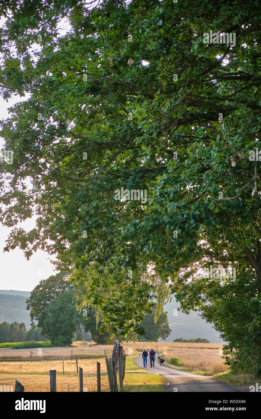 Bad Orb, Deutschland - Juli 17, 2019: Schönen Abend Landschaft im Spessart Highlands in der Nähe der Stadt Bad Orb mit zwei Personen gehen auf einem schmalen Cou Stockfoto