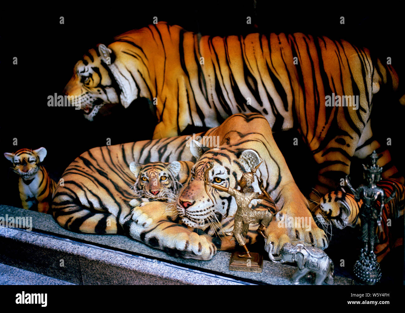 Tiger auf der Sukhumvit in Bangkok, Thailand in Südostasien im Fernen Osten. Tierquälerei Bedrohte Tierwelt Stockfoto