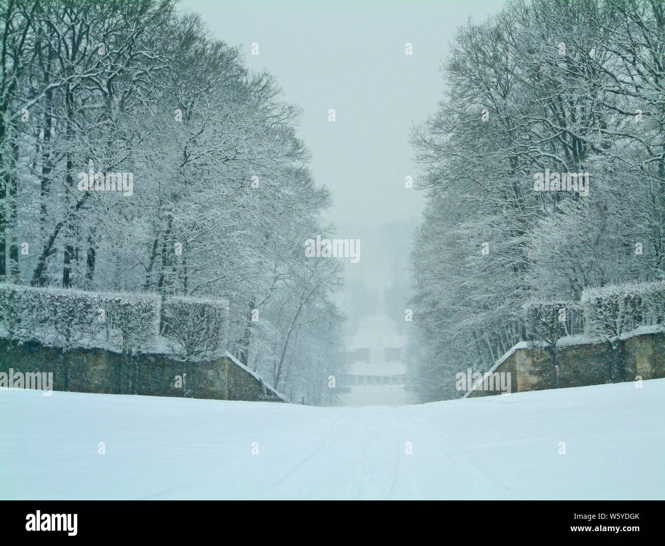 MARLY LE ROI SCHLOSS ALLÉE GARTEN UNTER DEM SCHNEE - WINTER - LE PARC DU CHÂTEAU DE MARLY LE ROI SOUS LA NEIGE © Frédéric BEAUMONT Stockfoto