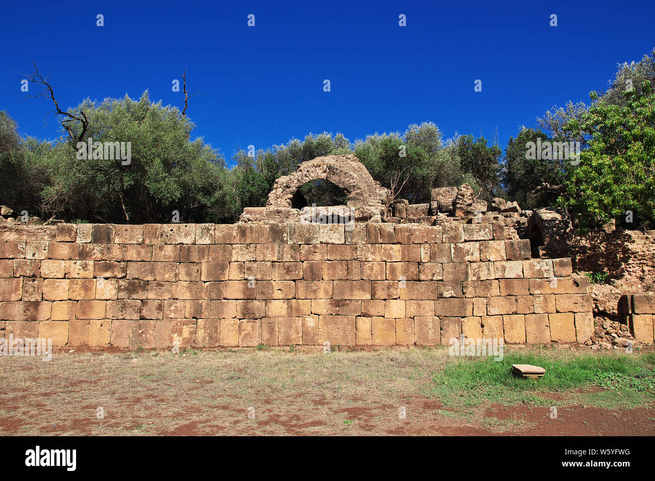 Tipaza römische Ruinen in Algerien, Afrika Stockfoto