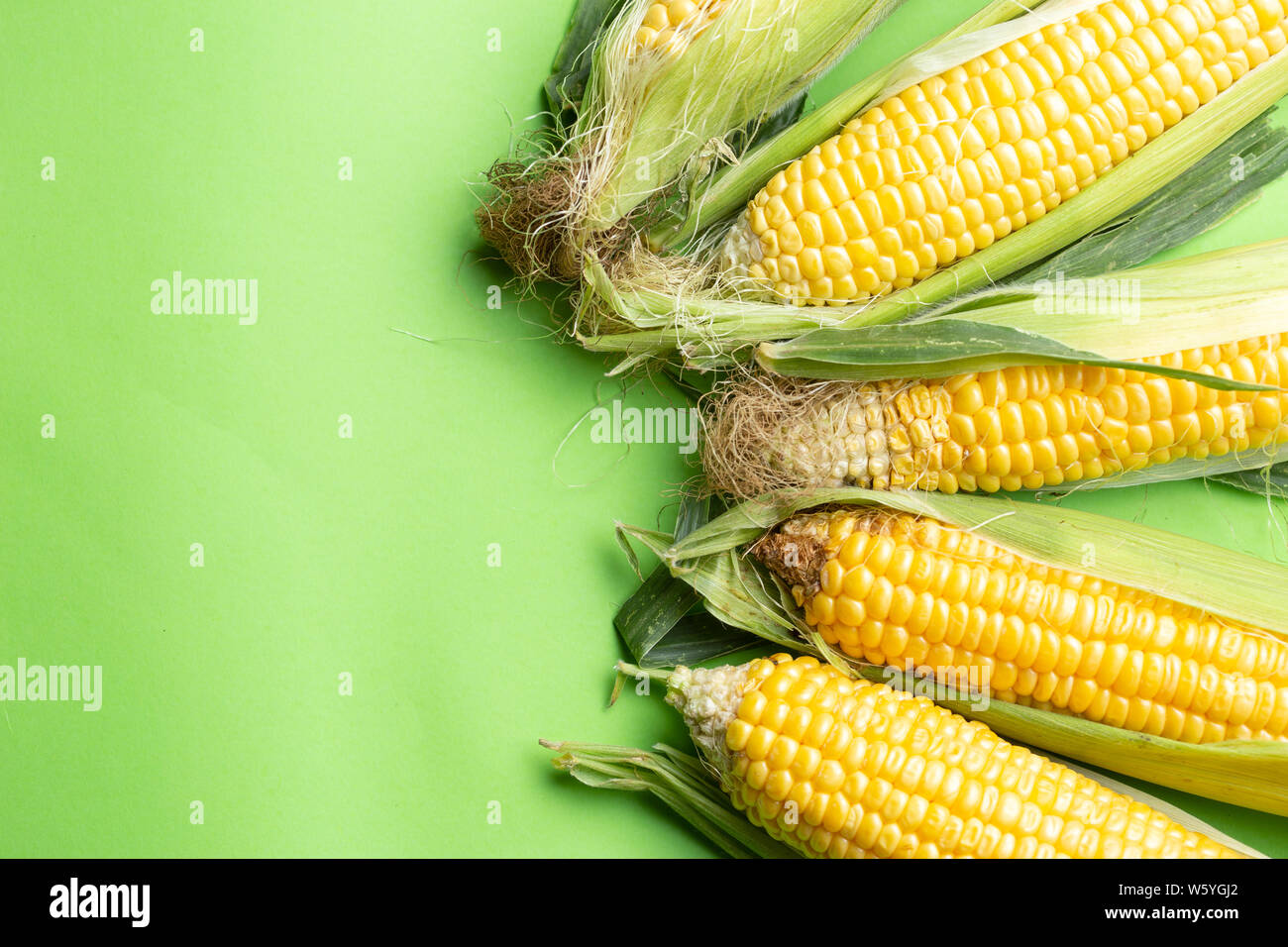 Frischen Körnern reifer Mais, Maiskolben über grüner Hintergrund Stockfoto