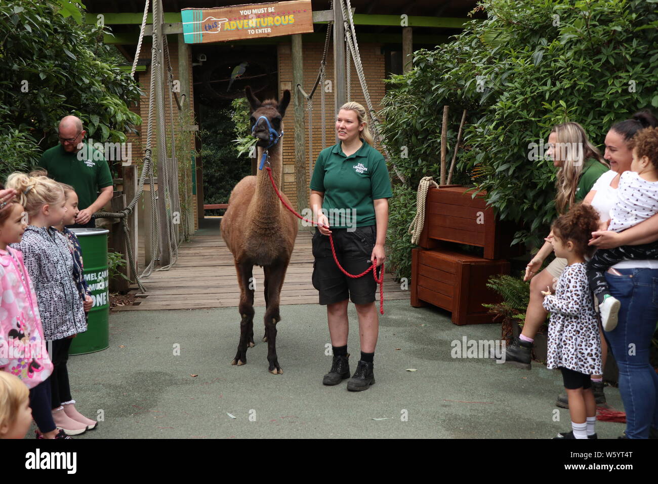 Zoowärter gestaltete Die einzigartige essbare Geflecht aus den beliebtesten Ande Heu geflochten und mit Rote-Bete-Saft gefärbt die Eröffnung der neuen tierischen Abenteuer des beliebten llama Heimat, die er gemeinsam mit 40 anderen pelzigen, gefiederten und vierbeinigen Freunden feiern zu können. Nach der Eröffnung der Zoo berühmtheiteltern Michelle Heaton, Charlie Simpson und Katie Piper mit es Kinder begrüßt. Moderator JB Gill und seine Familie ihrer Tochter Chiara Geburtstag an den Start gefeiert. Öffnung für die Öffentlichkeit am Mittwoch, den 31. Juli 2019. London Zoo, London. Großbritannien Stockfoto