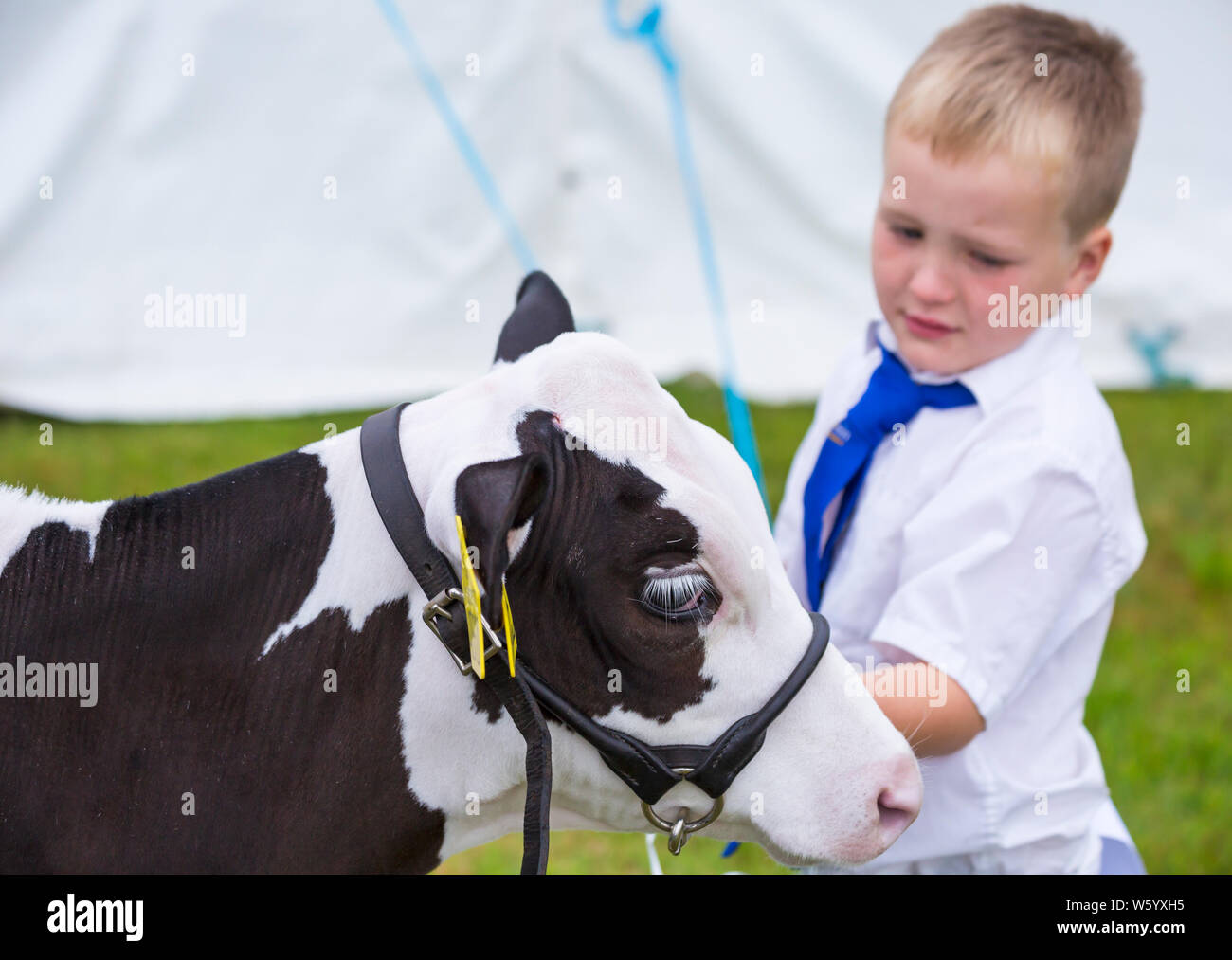 New Milton, Hampshire, UK. 30. Juli 2019. Menschenmassen strömen zu den ersten Tag des neuen Wald & Hampshire County Show auf einem nassen windigen matschig schlammigen Tag. Credit: Carolyn Jenkins/Alamy leben Nachrichten Stockfoto