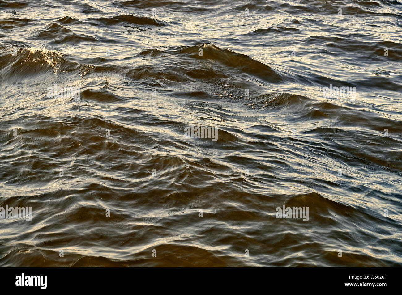 Wellen auf dem See hautnah. Foto an einem bewölkten Tag genommen Stockfoto