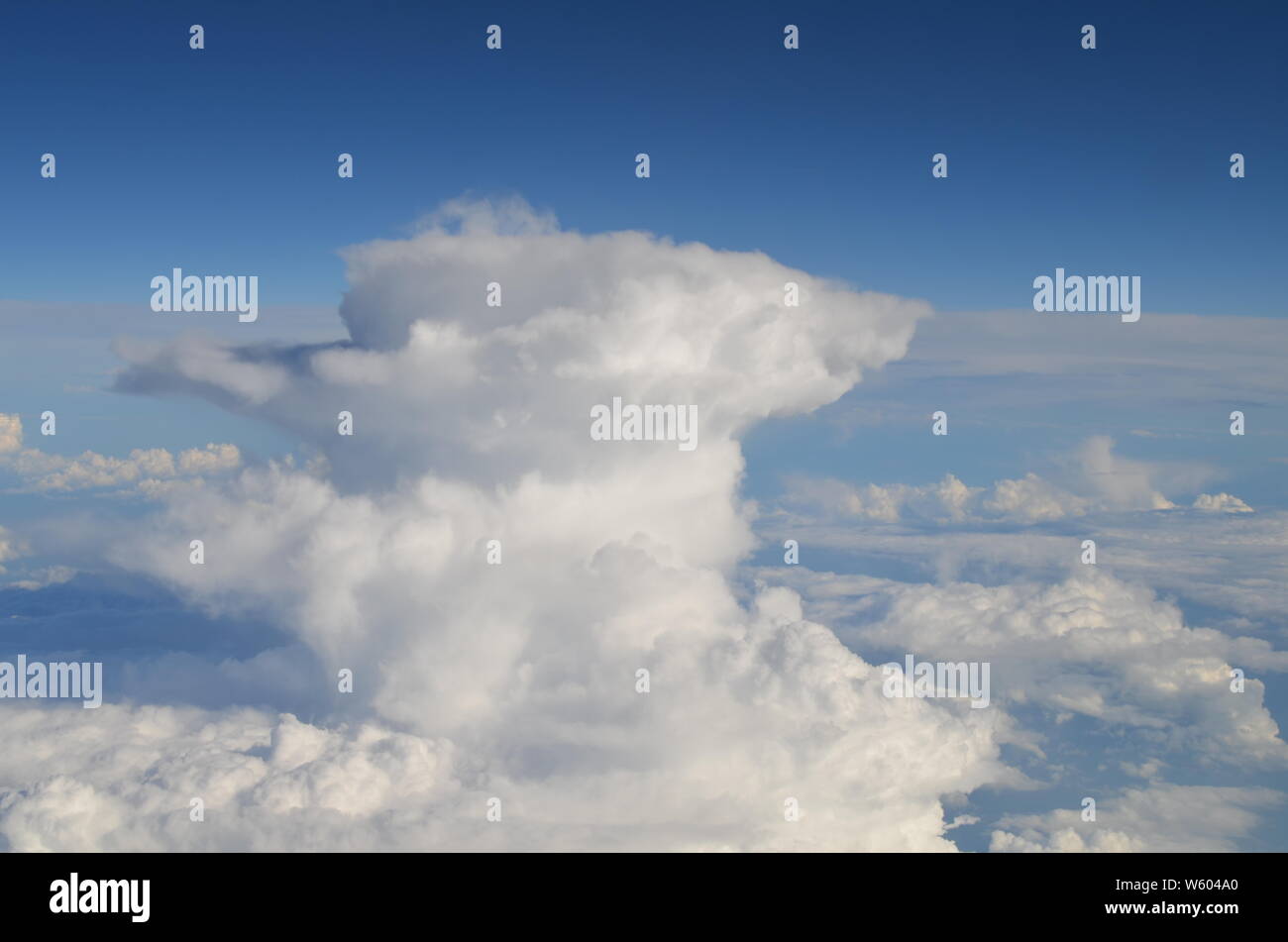 Fliegen hoch in den Wolken Stockfoto