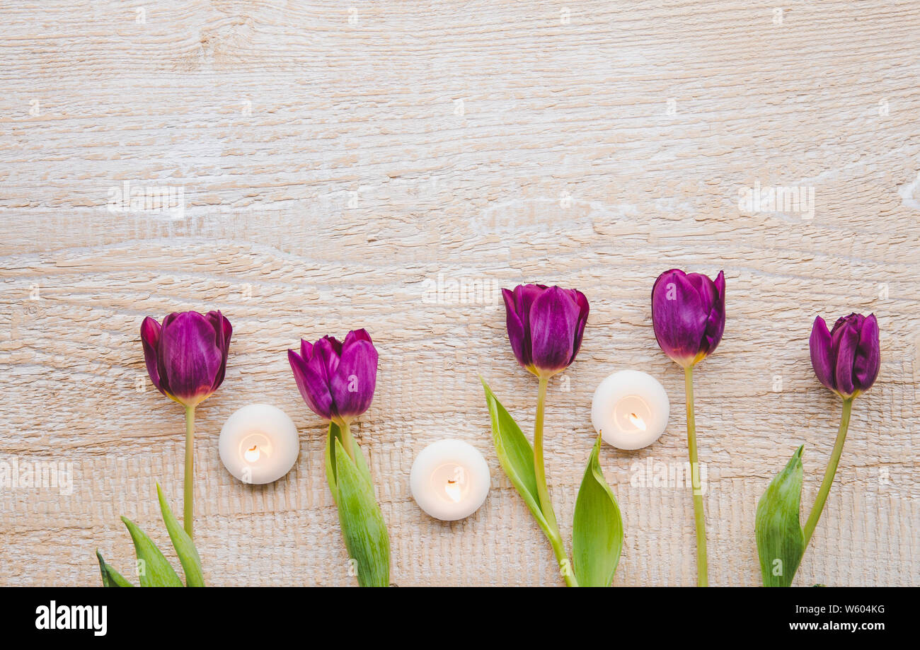 Flach auf 5 lila Tulpen und kleinen weissen Kerzen brennen, untere Grenze, hellbeige braun Holzbrett Hintergrund. Frühling Grusskarten co Stockfoto