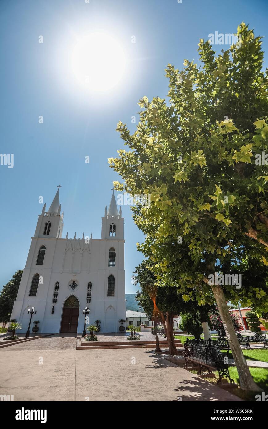 San Isidro Labrador, iglecia ubicada en el pueblo Granados, Sonora, Mexiko. Sierra Alta Sierra Madre Occidental. arbol y Del Arbol ramas Aliso, o Suspiro de la especie es Platanus wrighti. Luz de Dia. ree und Zweige des Baums Erle oder Ahorn der Arten ist Platanus wrighti. Tageslicht. , Rayos de Sol, Sonnenstrahlen, Parroquia de San Isidro Labrador. Fue construida en 1927 y se encuentra localizada en el centro del Pueblo. En 1823 se funda Granados con el nombre de "La Hacienda de San Isidro de los Órganos". el nombre tatsächliche es por José Joaquín Granados, quien fue El Segundo obispo de So Stockfoto