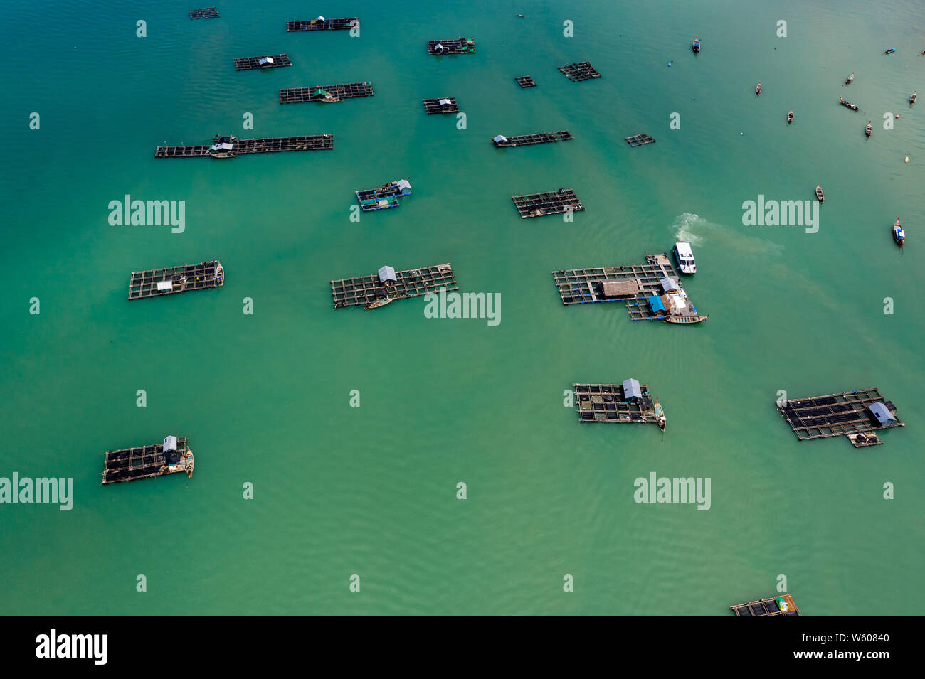 Luftaufnahme von großen traditionellen schwimmenden Fischfarmen auf der Insel Koh Yao Noi, Thailand Stockfoto