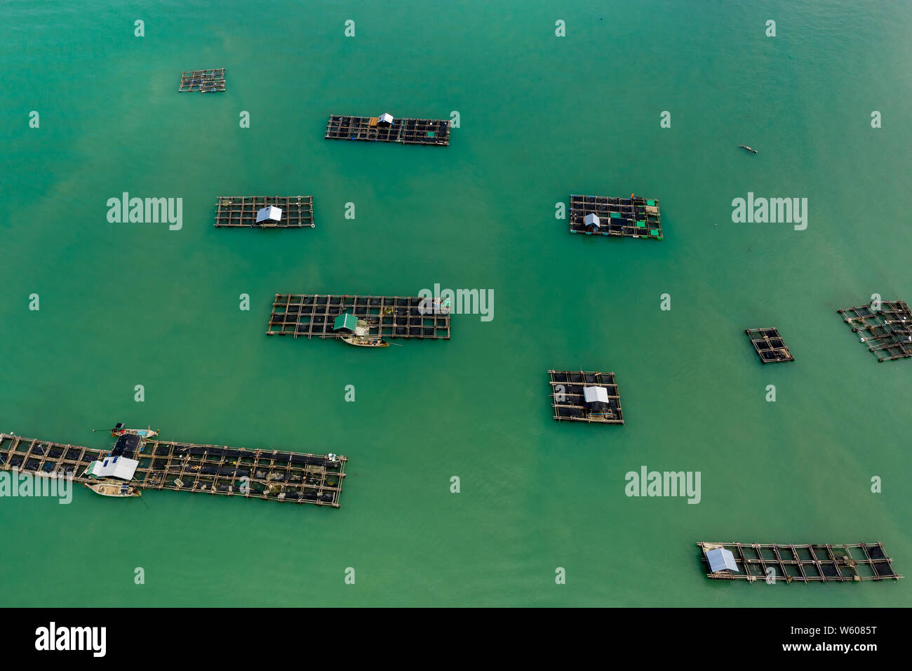 Luftaufnahme von großen traditionellen schwimmenden Fischfarmen auf der Insel Koh Yao Noi, Thailand Stockfoto
