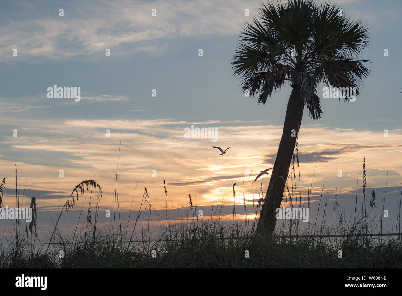 Sonnenuntergang am Strand - der Himmel hat sanften Pastelltönen Stockfoto