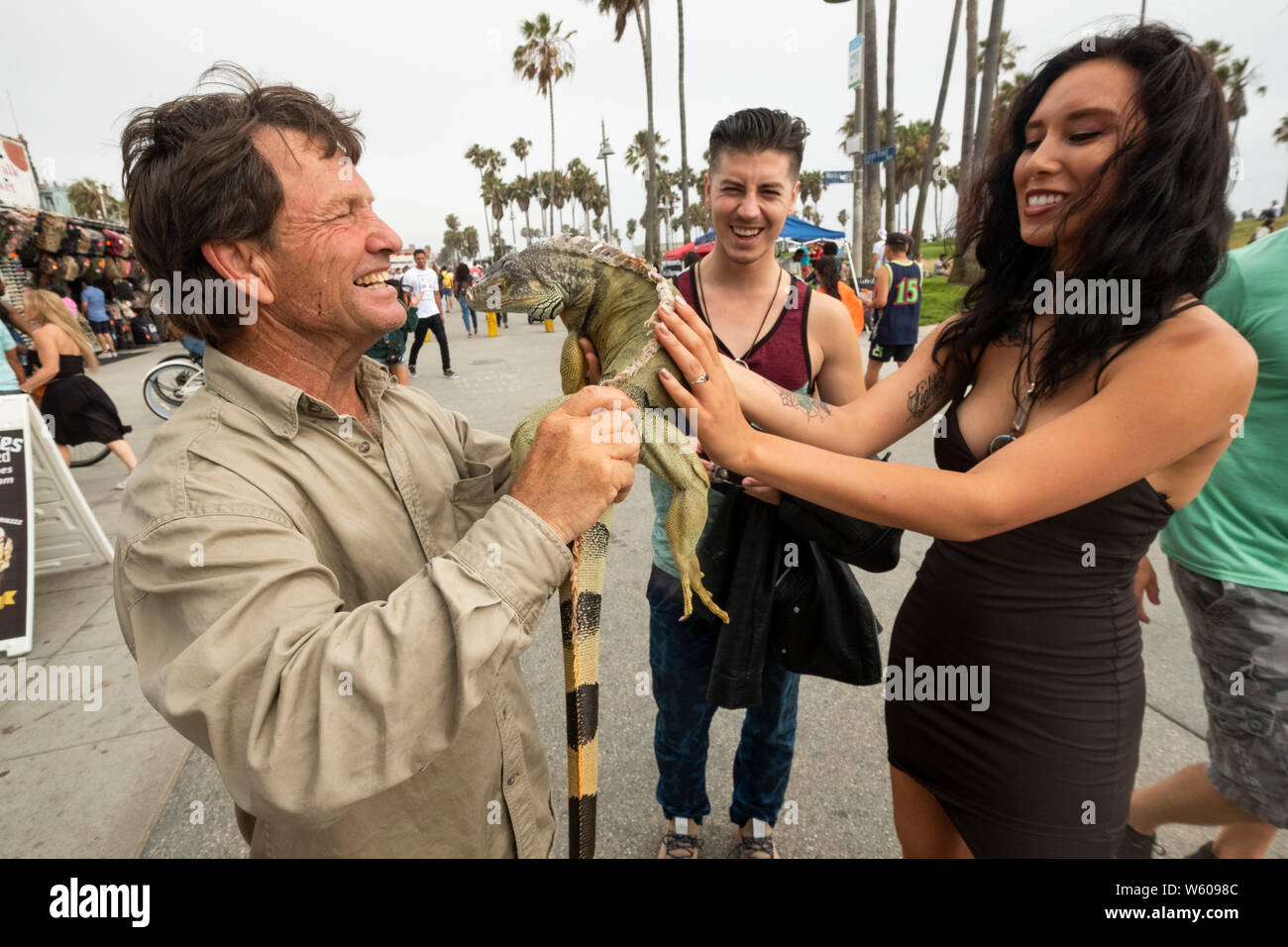 Posieren mit einem Leguan, Venice Beach, Los Angeles, Kalifornien, Vereinigte Staaten von Amerika Stockfoto