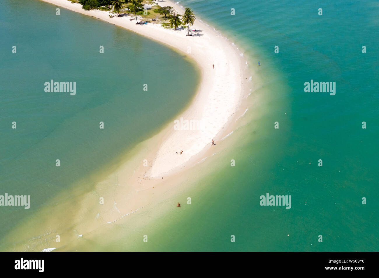 Luftaufnahme von einer Sandbank in den Ozean, die von einer grünen, tropischen Insel Stockfoto