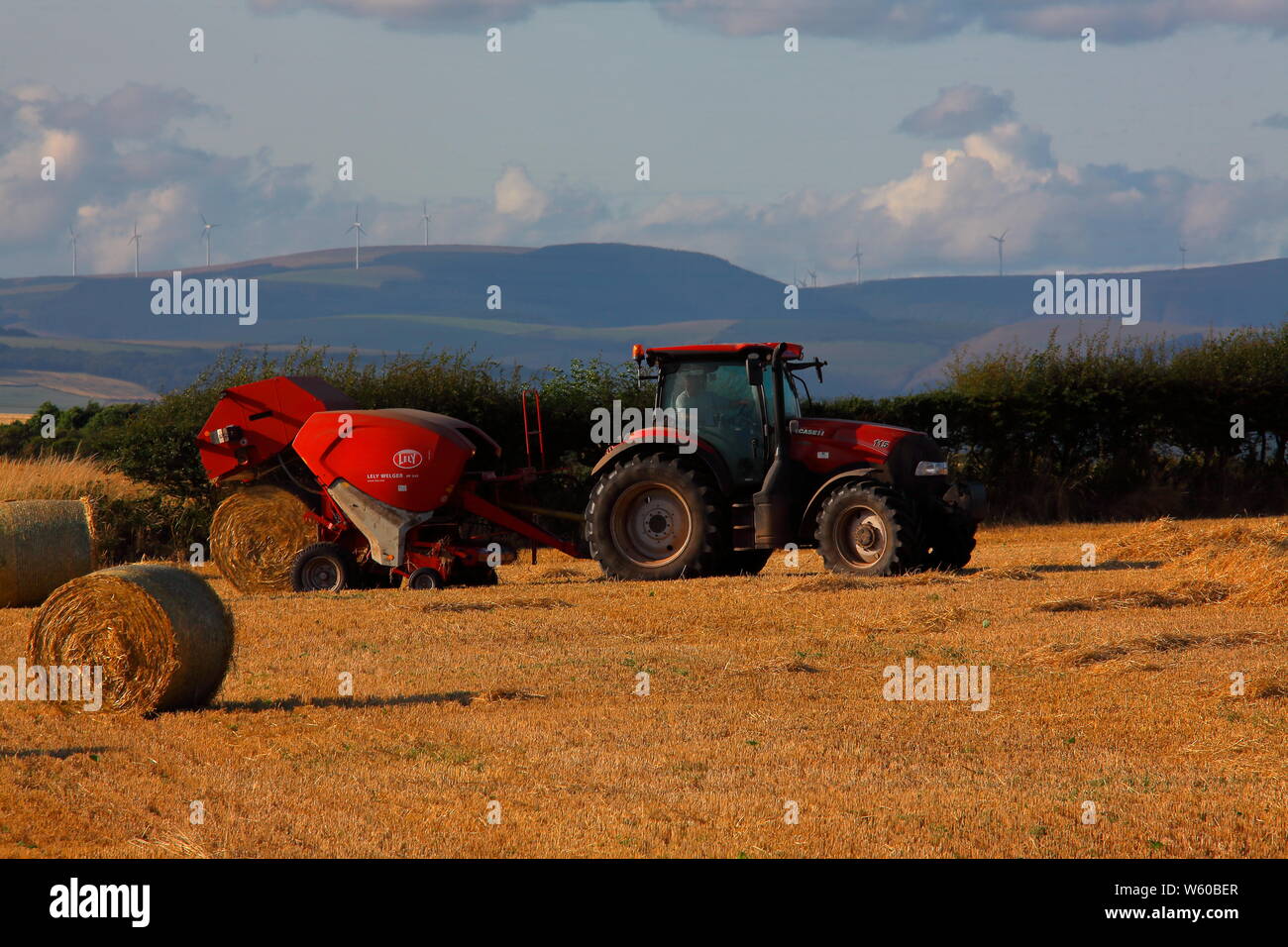 Ein modernes Stroh compactor Sammeln der Stroh- und rollt es in die riesigen Ballen bereit für den Winter füttern in Rollenform gespeichert werden. Stockfoto